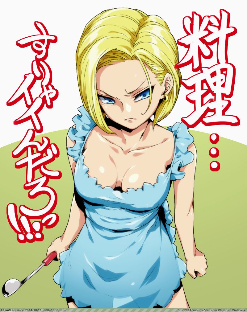 057828ce56b8e36d2a3d066d0b6d4324 (in Android 18)