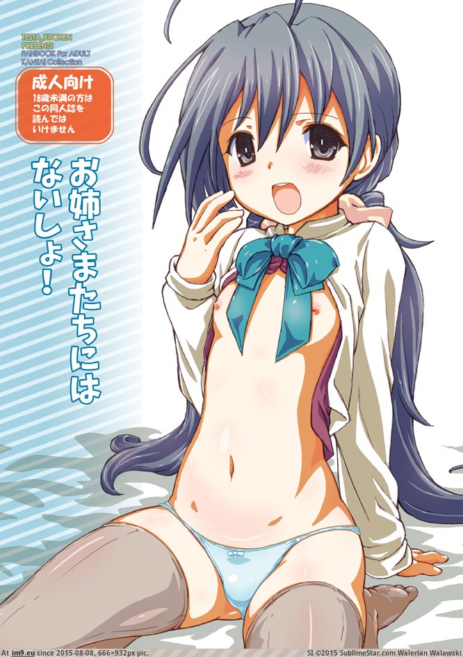 1 (28) (in Tiger Lolicon Collection)