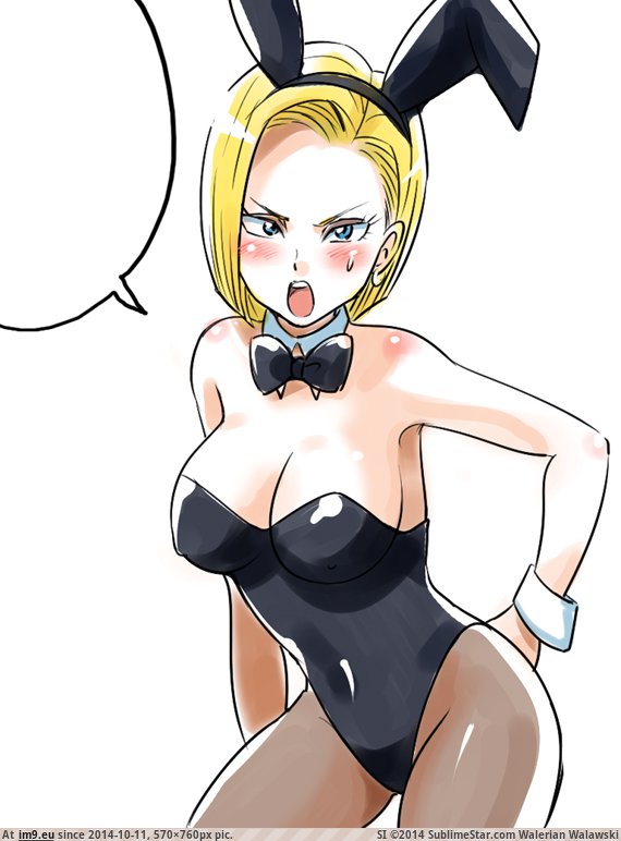 18 (5) (in Android 18)