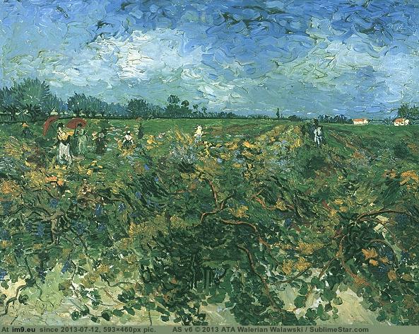 1888 Green Vineyard, The (in Vincent van Gogh Paintings - 1888-89 Arles)