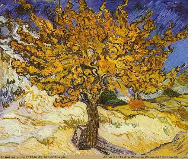1889 Mulberry Tree, The (in Vincent van Gogh Paintings - 1889-90 Saint-Rémy)