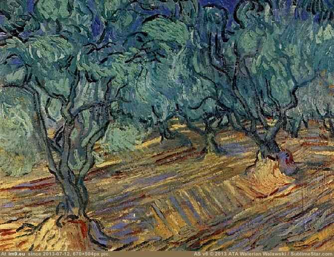 1889 Olive Grove Bright Blue Sky (in Vincent van Gogh Paintings - 1889-90 Saint-Rémy)