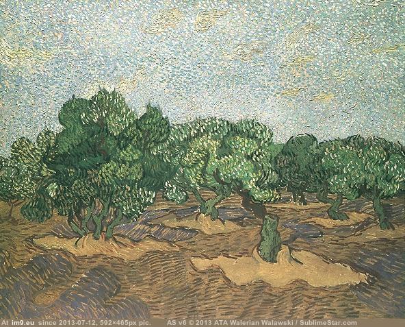 1889 Olive Grove Pale Blue Sky (in Vincent van Gogh Paintings - 1889-90 Saint-Rémy)