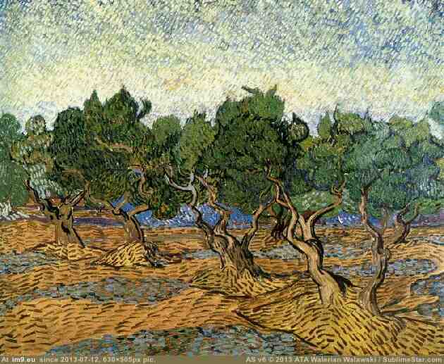 1889 Olive Grove version 3 (in Vincent van Gogh Paintings - 1889-90 Saint-Rémy)