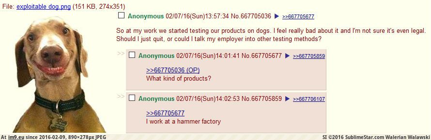 [4chan] Anon feels bad about animal testing at his workplace (in My r/4CHAN favs)