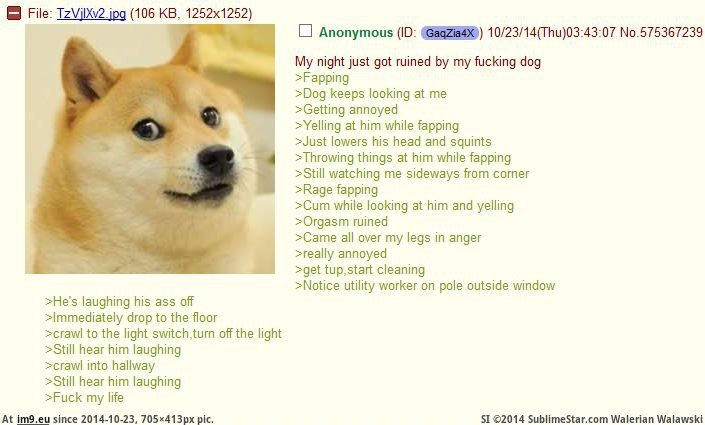 Pic. 4chan Anon Ruined Night Dog 52302B My r 4CHAN favs