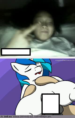 Pic Porn 4chan Mlp Omegle Reactions 22857B My r 4CHAN favs 