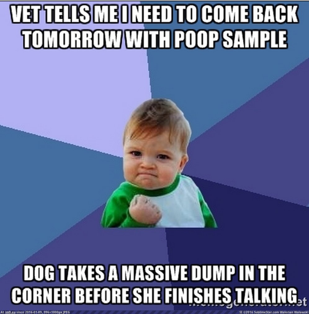 [Adviceanimals] As a lazy person this was nice.... (in My r/ADVICEANIMALS favs)