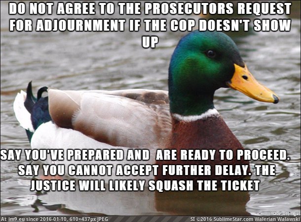 [Adviceanimals] If you're fighting a speeding ticket (in My r/ADVICEANIMALS favs)