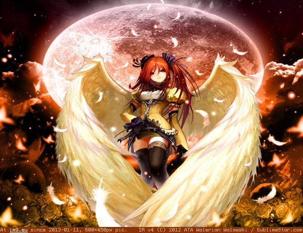 Angel Night Moon Anime Wallpaper 0 (anime image) (in Anime wallpapers and pics)