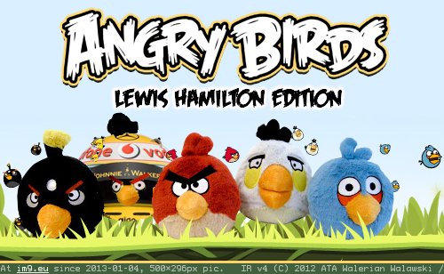 Angry Birds Online (F1 humour) (in F1 Humour Images)