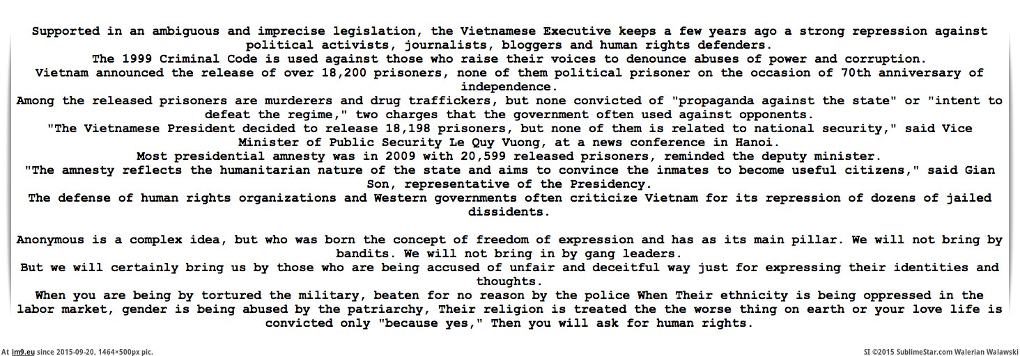 Alternative-News.tk - anonymous-hacks-vietnam-government-against-censorship-human-rights-violations