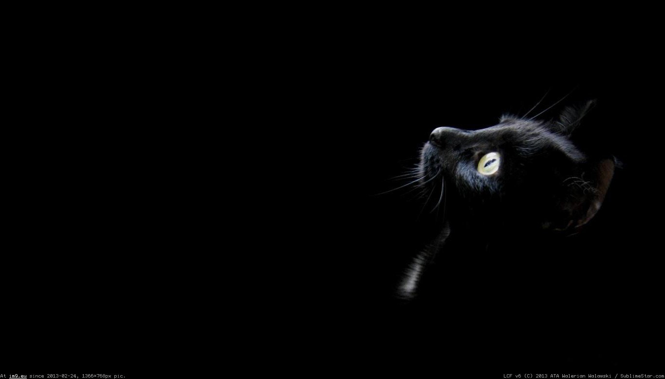 1366x768 Black Wallpapers - Wallpaper Cave