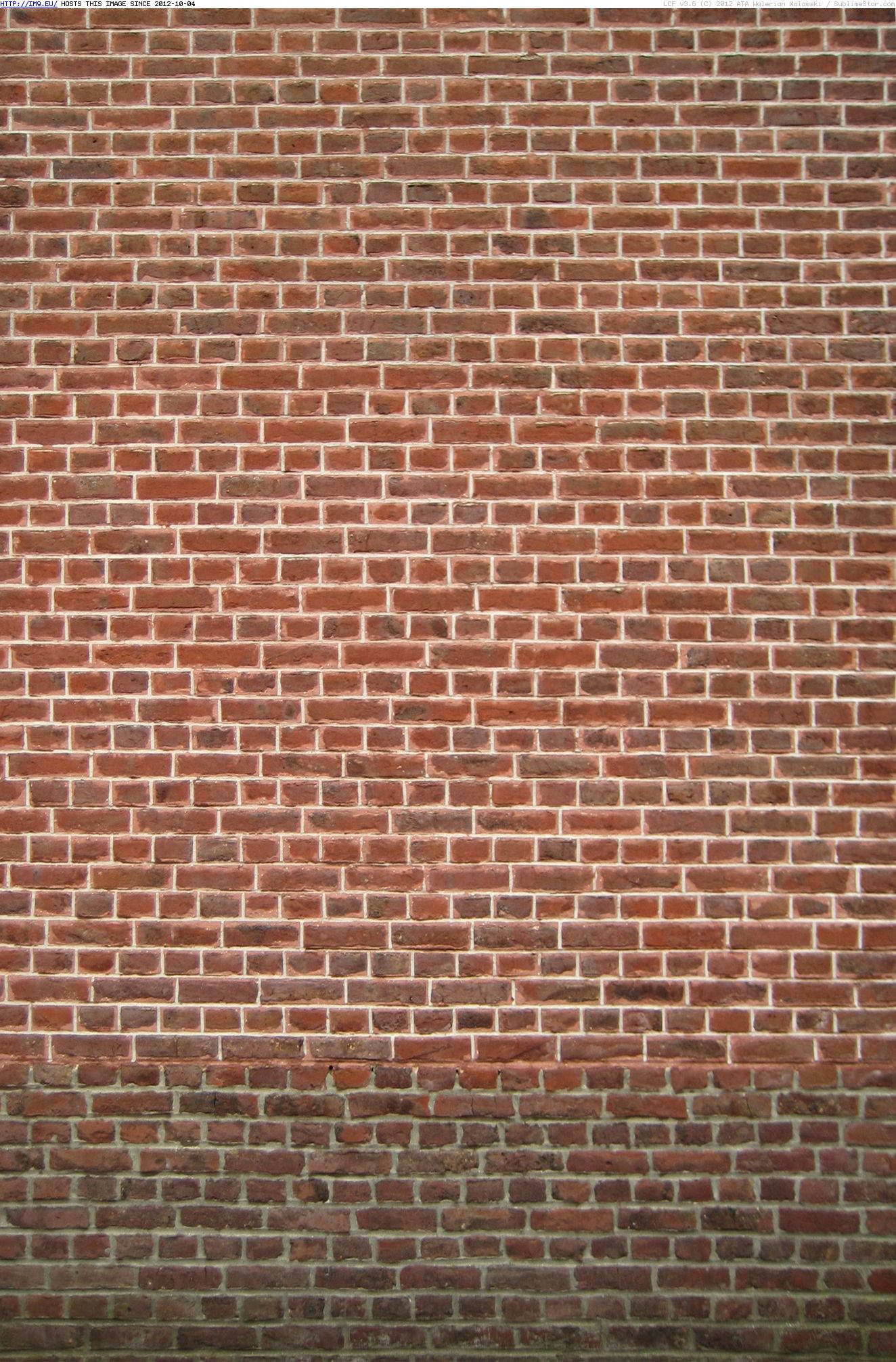 Brick Small Brown 6 (brick wall) (in Brick walls textures and wallpapers)