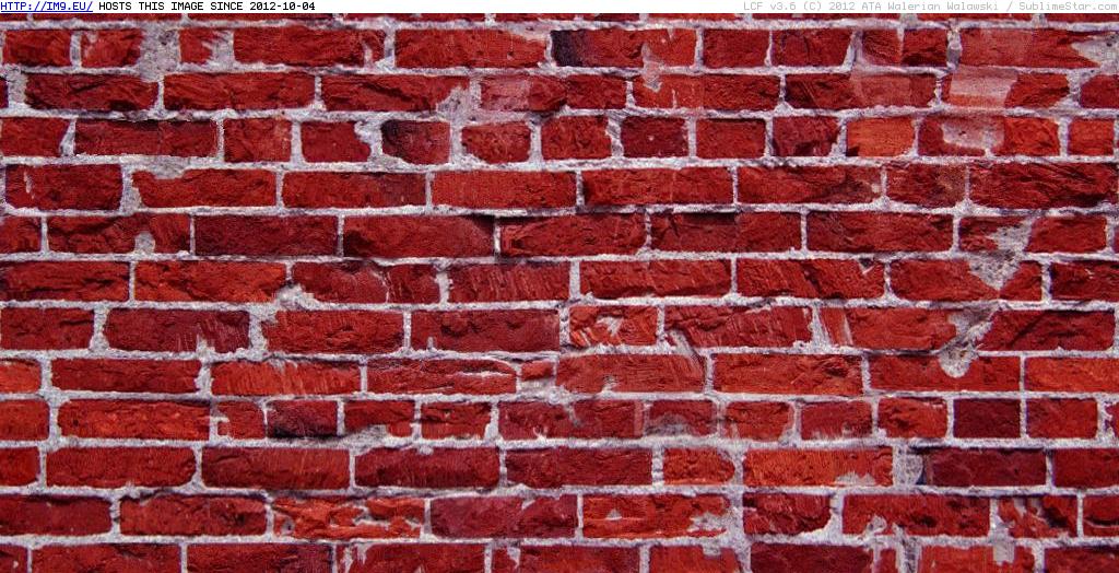 Brick wall texture 10 (in Brick walls textures and wallpapers)