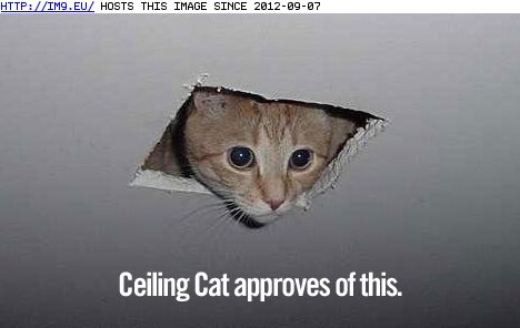 Ceiling Cat Approves of This (in LOLCats, LOLDogs and cute animals)