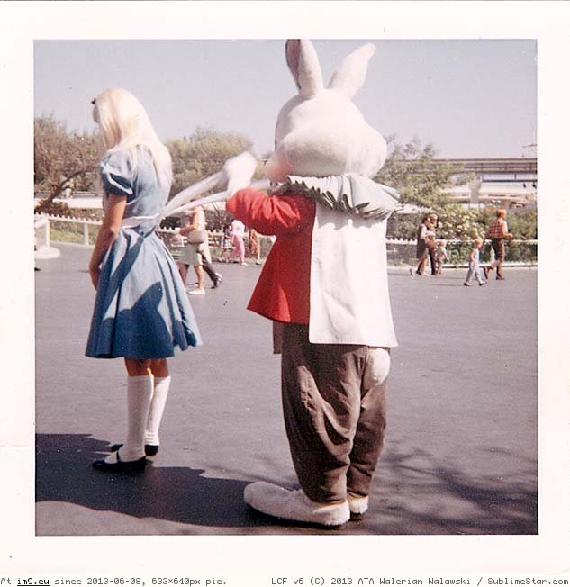 disneyland alice and rabbit apron strings photograph 640 (in Alice 1)