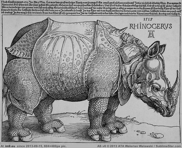 durer-rhinoceros (in Durer)