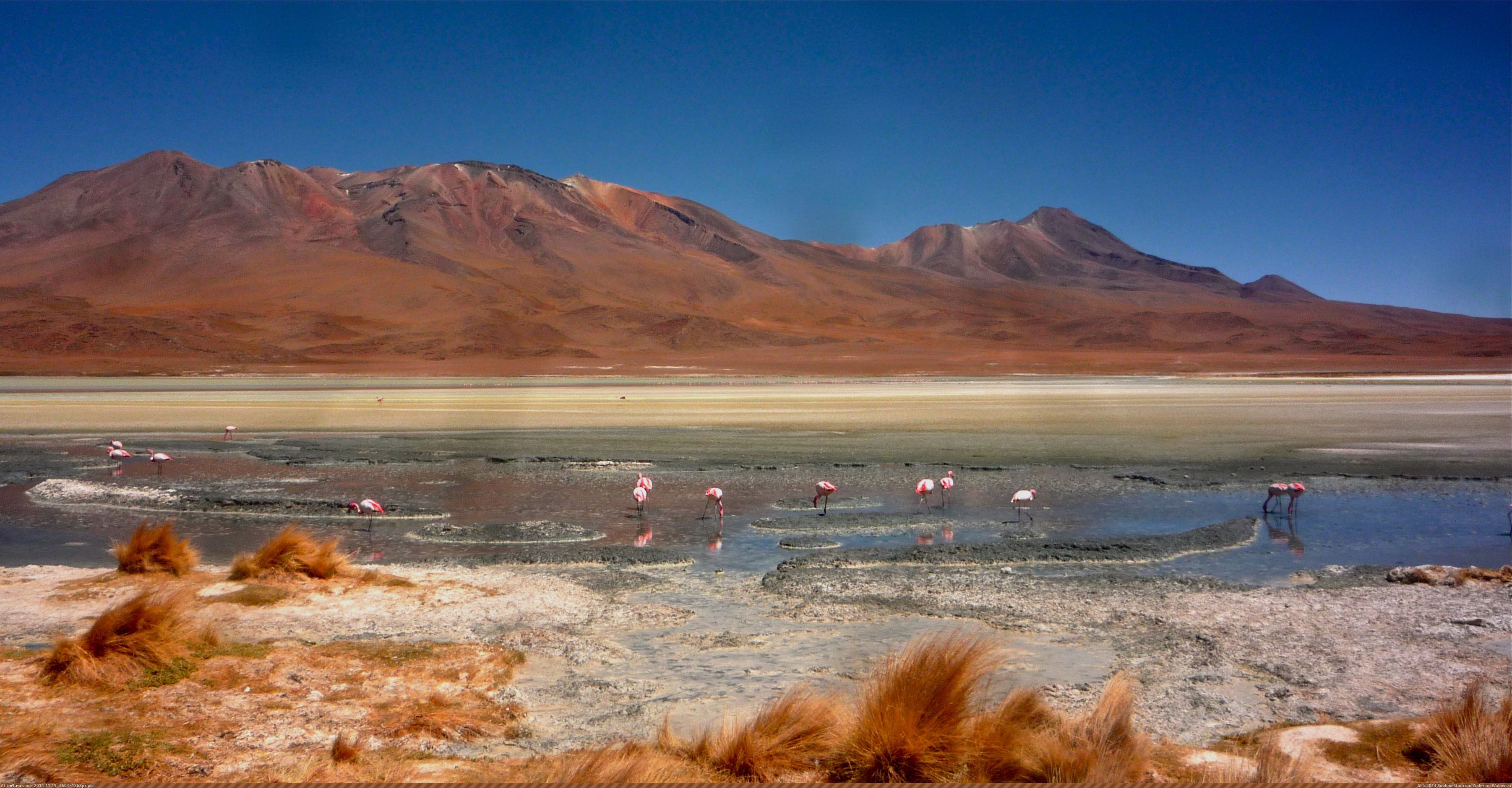 Pic Altiplano Bolivian 954122B My r EARTHPORN favs 