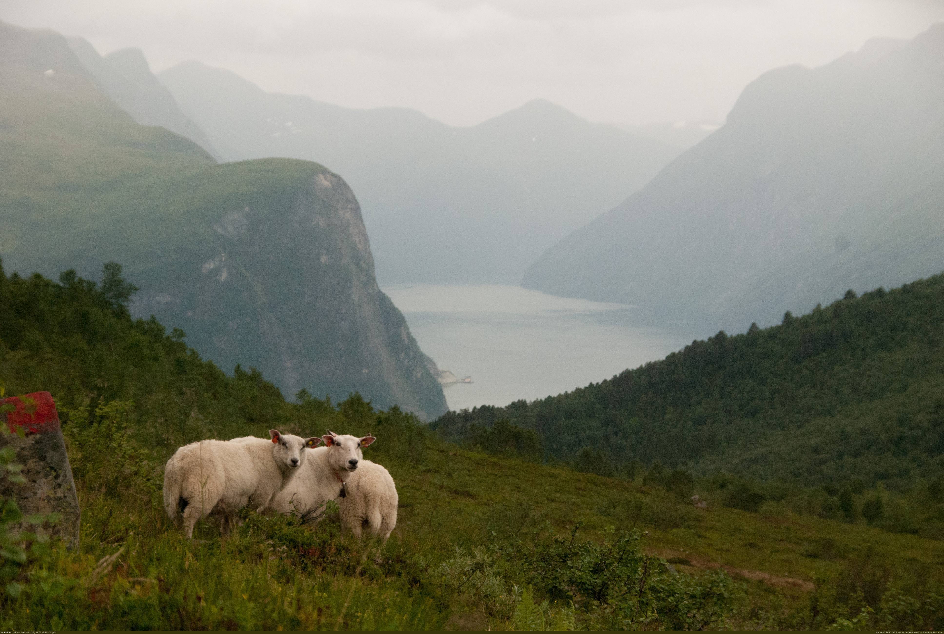 Pic. #1920x1080 #Liabygda #Norway, 1037425B – My r/EARTHPORN favs