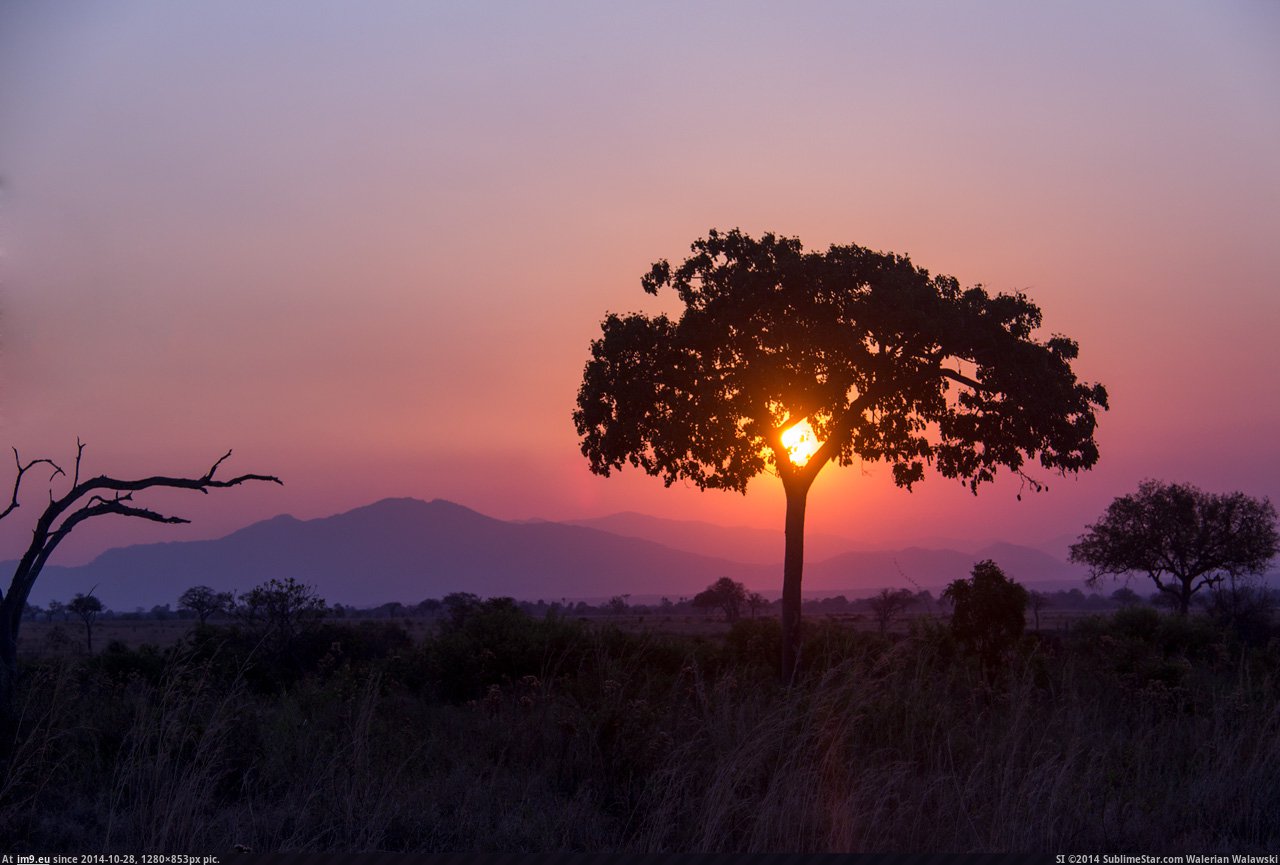 Pic. #Park #National #Tanzania #Mikumi #Dawn #1280x853, 129699B – My  r/EARTHPORN favs