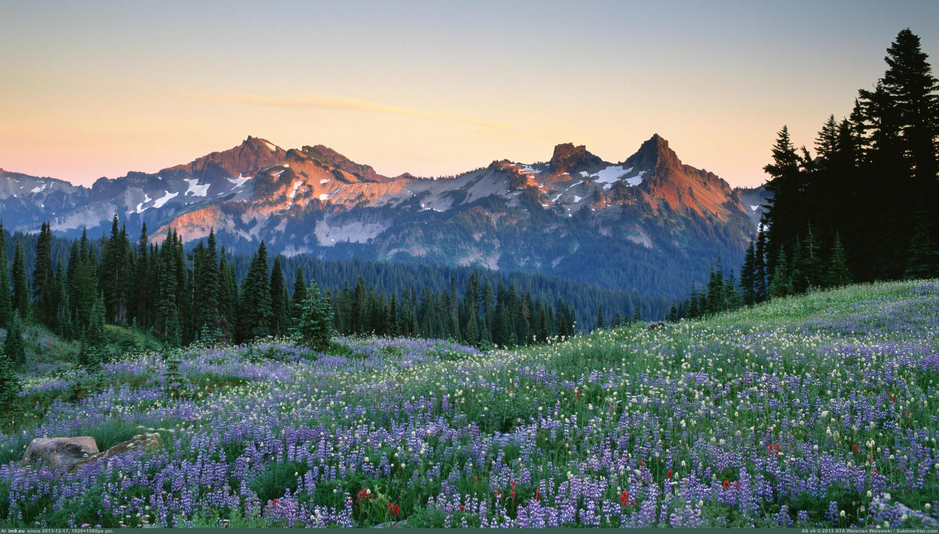 Pic. #Park #National #Range #Rainier #Tatoosh #1920x1080 #Mount, 378273B –  My r/EARTHPORN favs