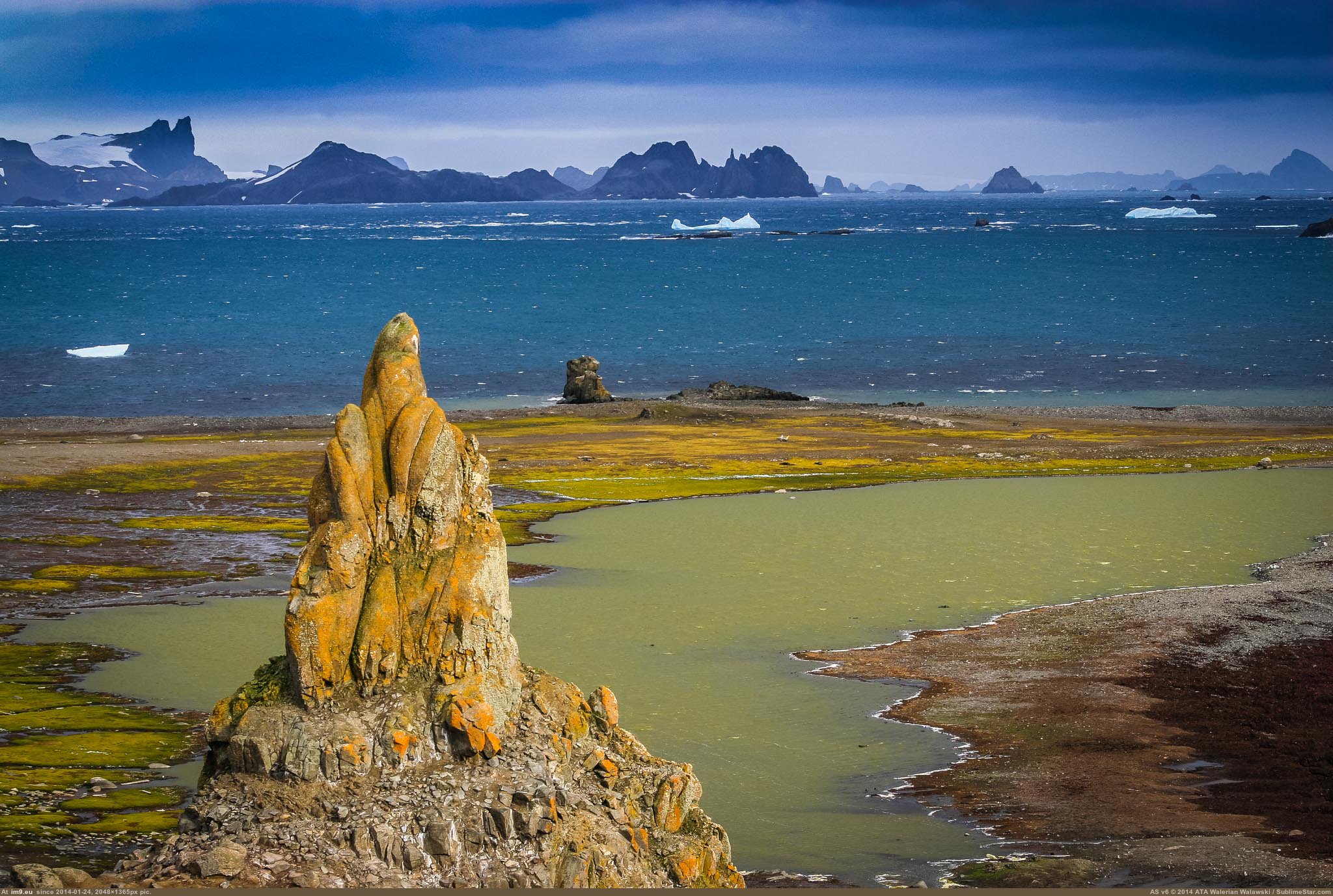 Pic. #Island #Visiting #Antarctica #Barrientos #Closest #Planet, 546315B –  My r/EARTHPORN favs