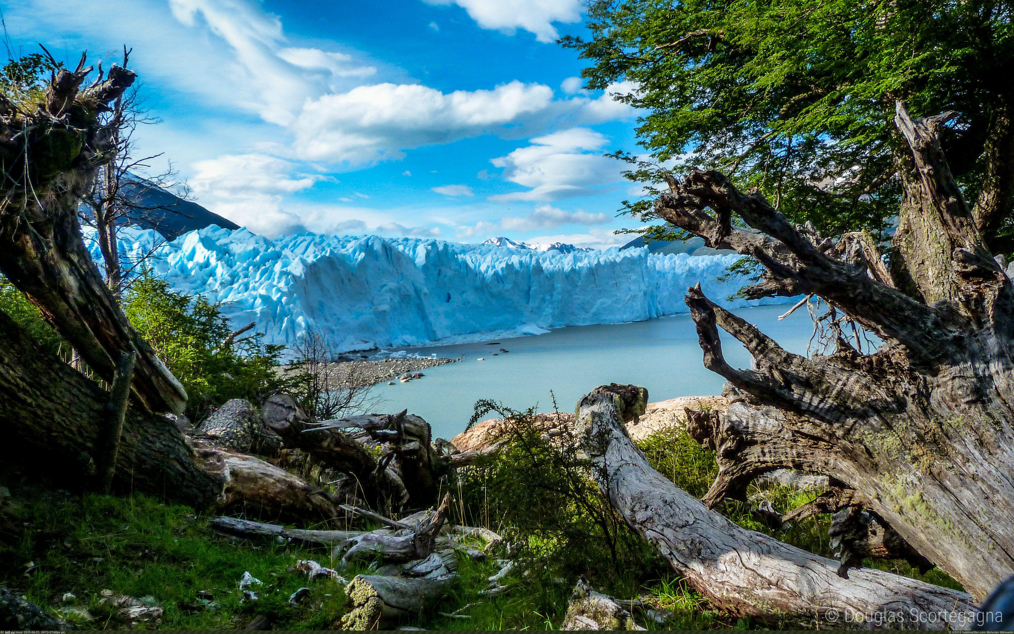 Pic. #Glacier #Argentina #Wood, 1534544B – My r/EARTHPORN favs