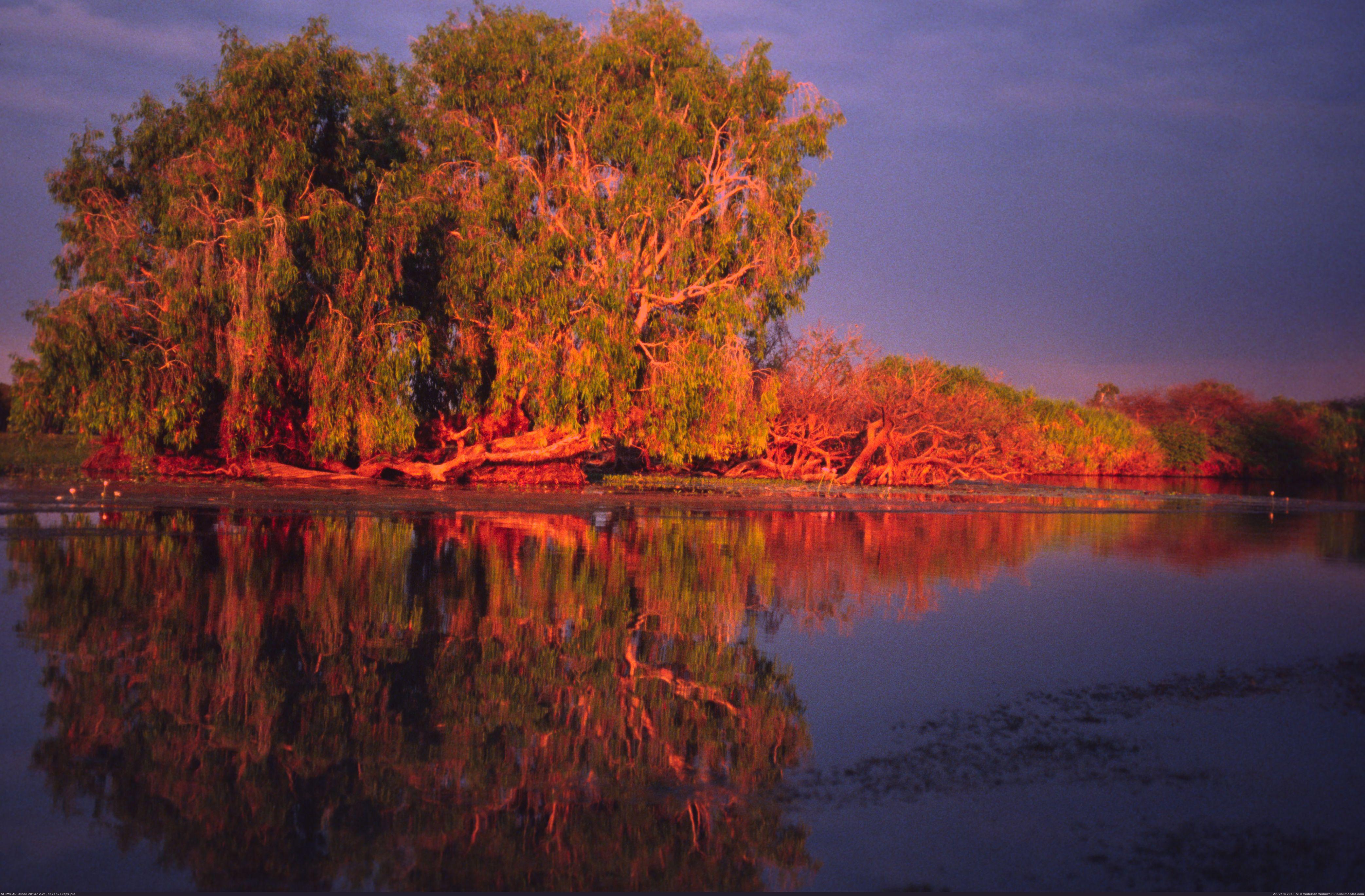 Pic Park National Water Territory Lagoon Kakadu Australia  