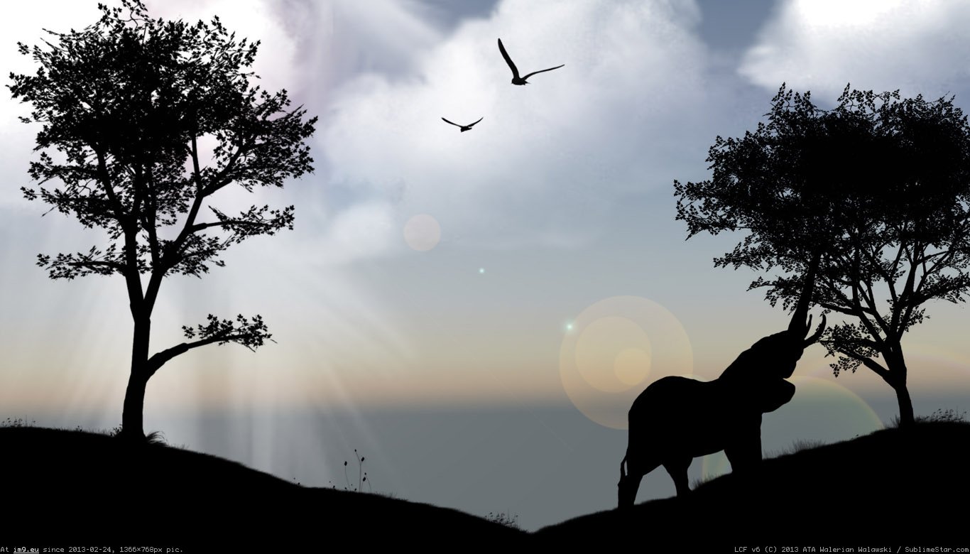 Elephant Wallpaper 1366X768 (4) (in Animals Wallpapers 1366x768)