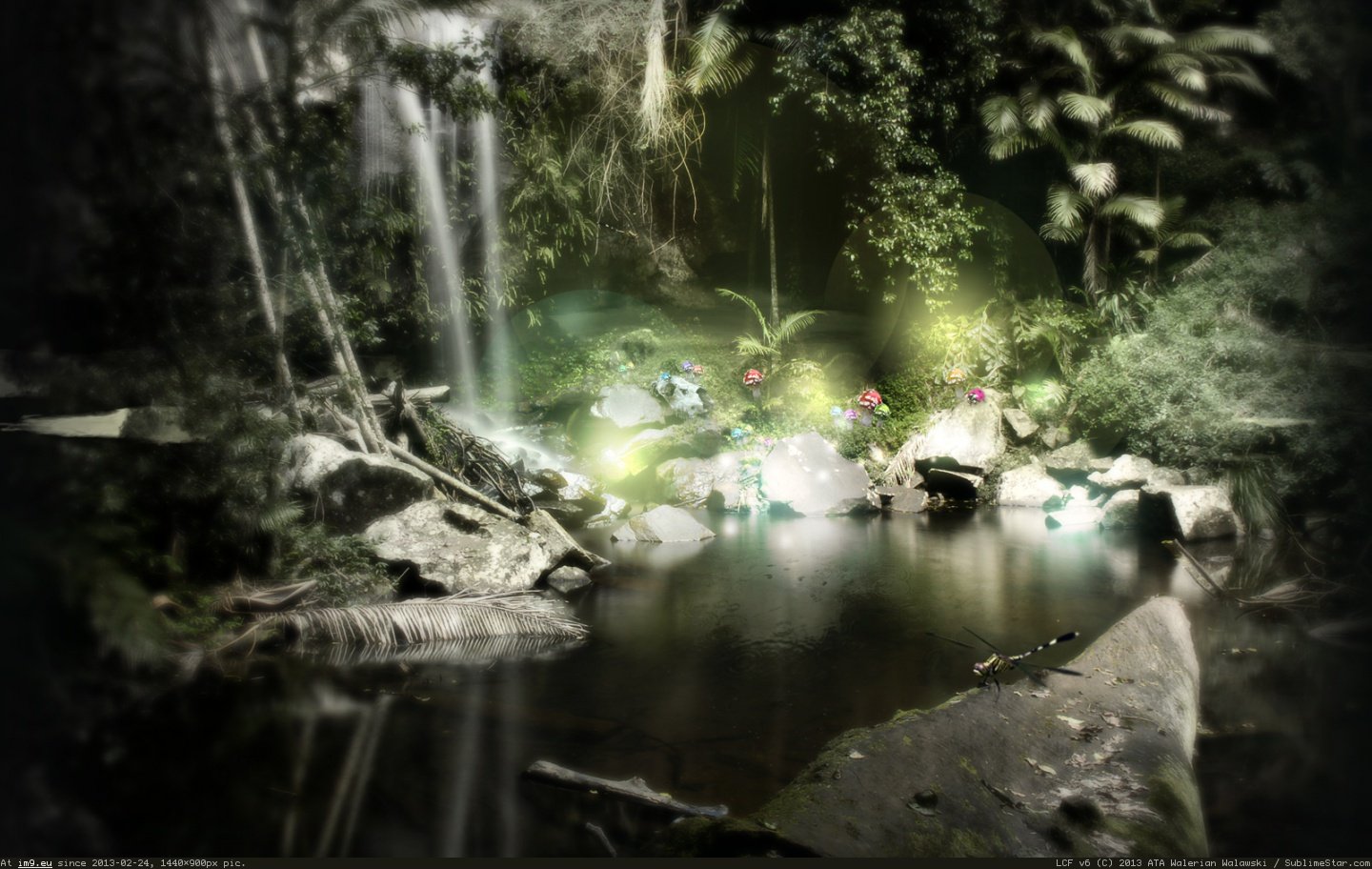 Enchanted Forest 1440X900 HD wallpaper (in Desktopography Wallpapers - HD wide 3D)