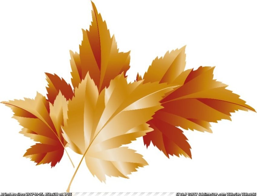 Fall Leaves (in Westman Jams Images)