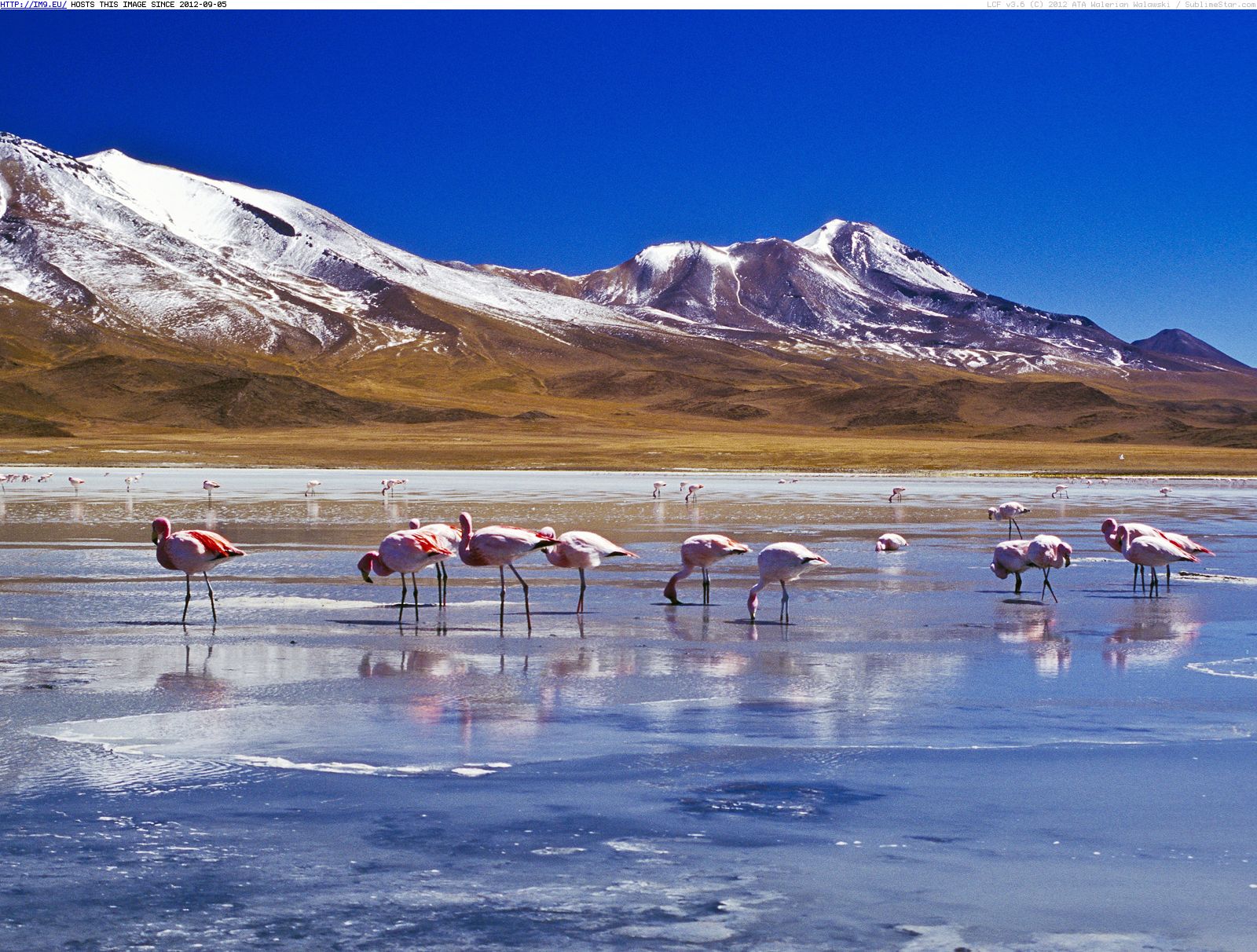 laguna hedionda