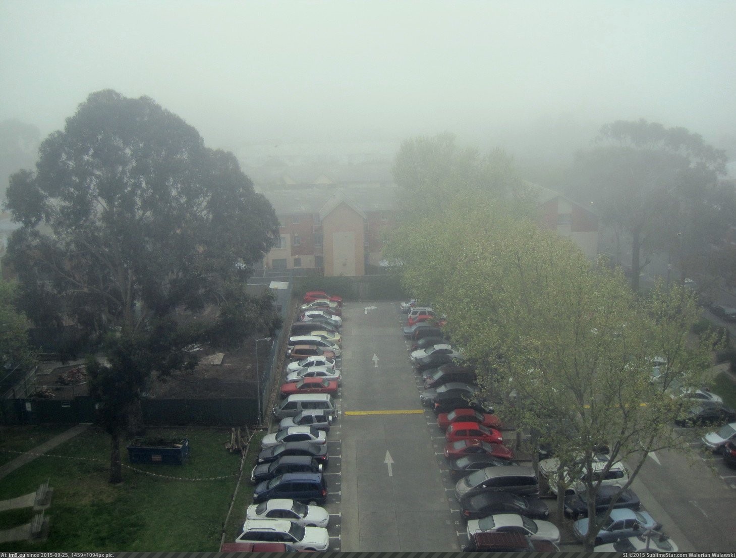 fog (in Citylife)