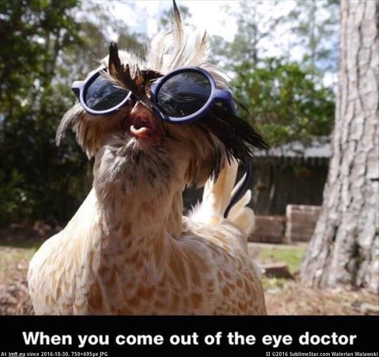 [Funny] After eye Doctor's Check up (in My r/FUNNY favs)