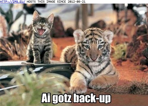 Images Funny Captions on Funny Animal Captions   Animal Capshunz  He S Small But Fierce