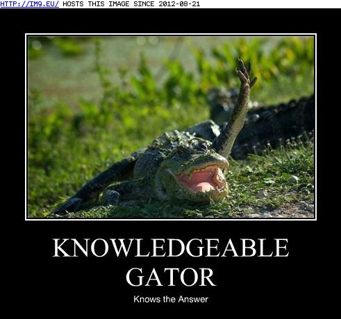 Funny  Images on Funny Animal Captions   Animal Capshunz  Knowledgeable Gator   Lolcats