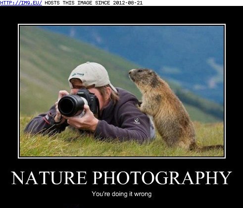  Funny Pictures on Funny Animal Captions   Animal Capshunz  Nature S This Way  Pal