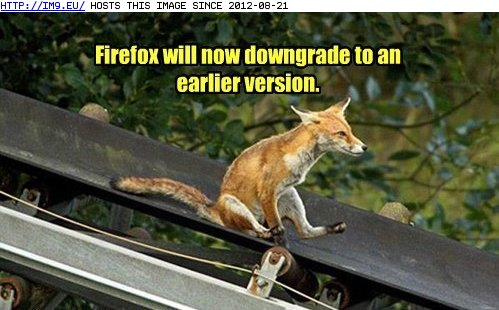 Funny  Images on Funny Animal Captions   Animal Capshunz  There May Be Launch Problems