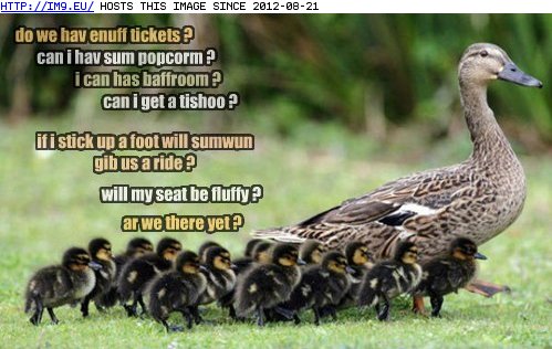 Funny Images  Captions on Funny Animal Captions   Animal Capshunz  Why We Rarely Go To Movies