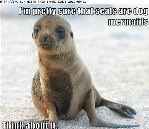 Funny  Pictures  Captions on Funny Animal Pictures With Captions For Kids   Latest Funny Pictures