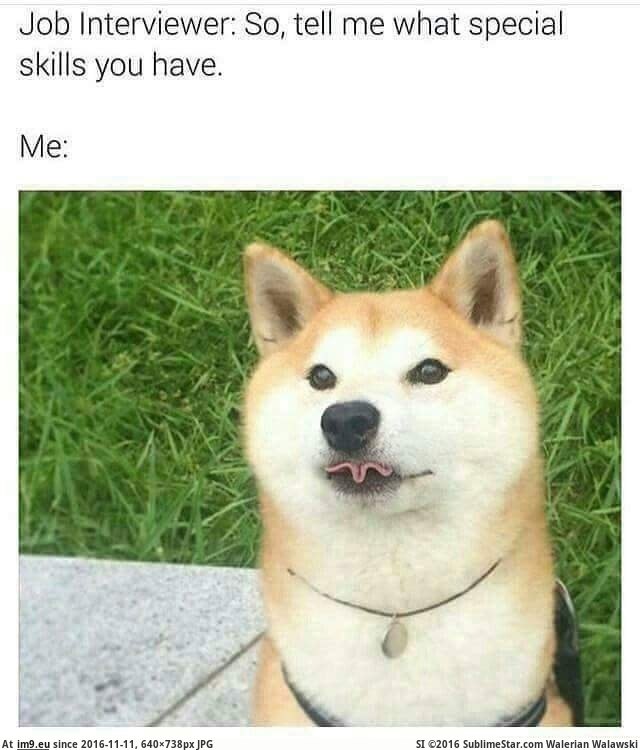 [Funny] Skilled Pupper (in My r/FUNNY favs)