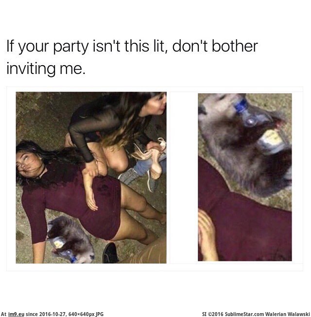 [Funny] Was you party lit? Yes it was (in My r/FUNNY favs)