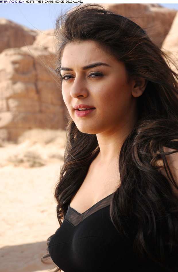 Hansika-55 (in Hansika Latest Gallery)