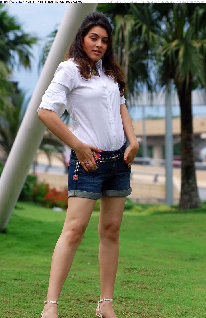 Hansika-66 (in Hansika Latest Gallery)