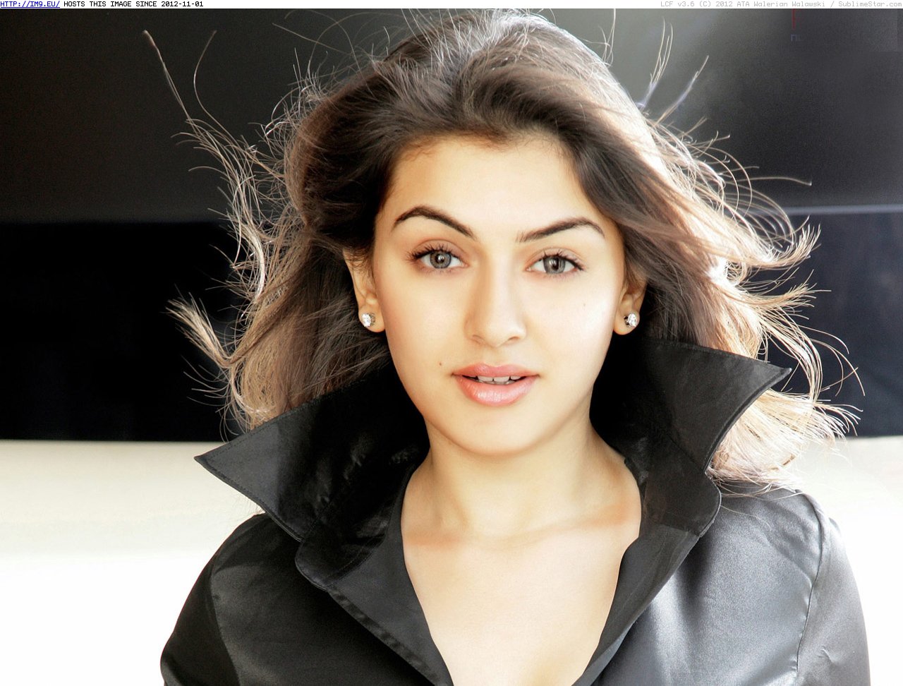 hansika-96 (in Hansika Latest Gallery)