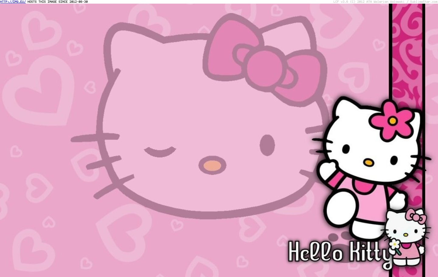 http://p.im9.eu/hello-kitty-11-cartoons-for-kids.jpg