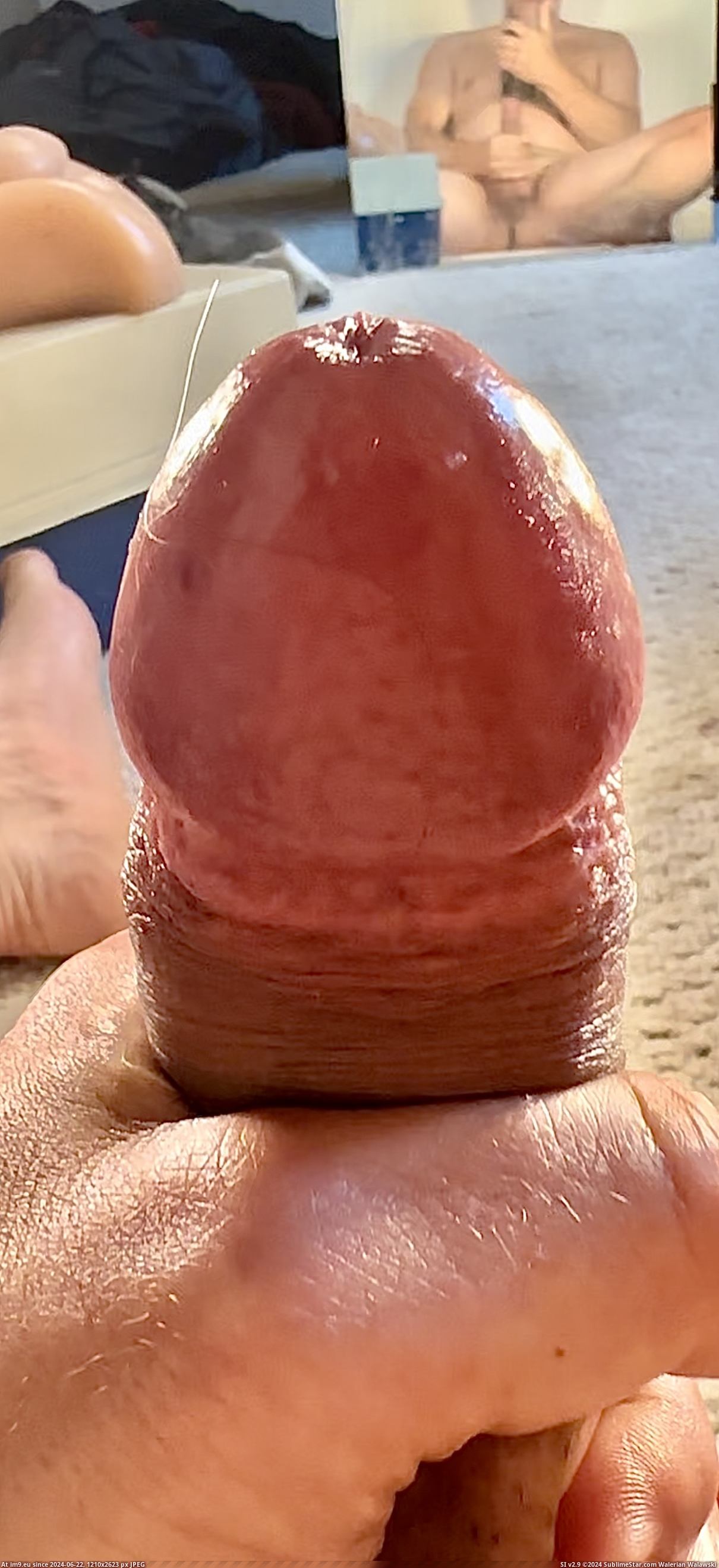 Pic. #Cum #Gay #Sperm #Asshole #Cock #Swallow #Squirt #Suck #Balls  #Ejaculate, 250384B – Squirting penis