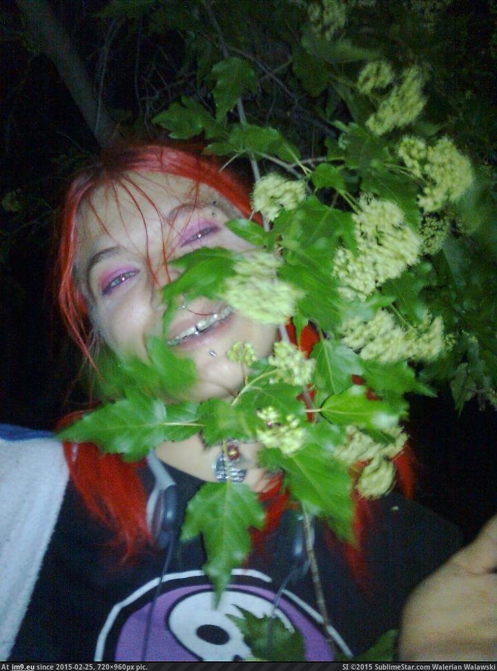 Jen jen drunk in a tree (in Jennifer)