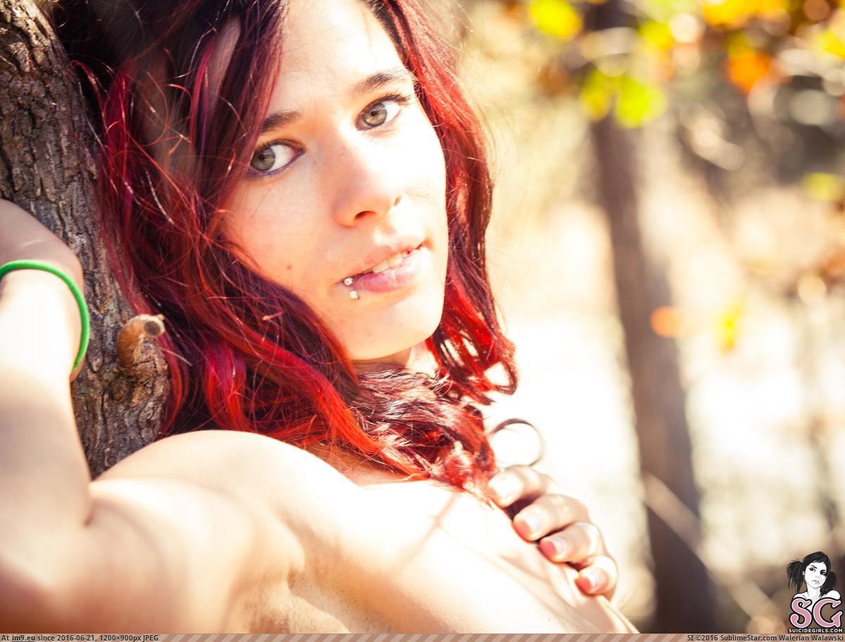 Pic. #1200x798 , 92419b - suicidegirlsnow